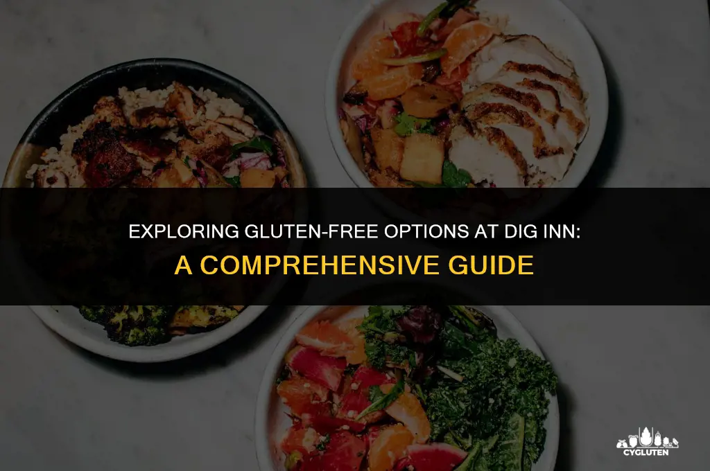 is dig inn gluten free