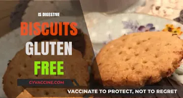 Exploring Gluten-Free Options: Are Digestive Biscuits Safe for Celiacs?