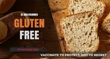 Are Diglycerides Gluten-Free? Understanding Food Additives and Celiac Safety