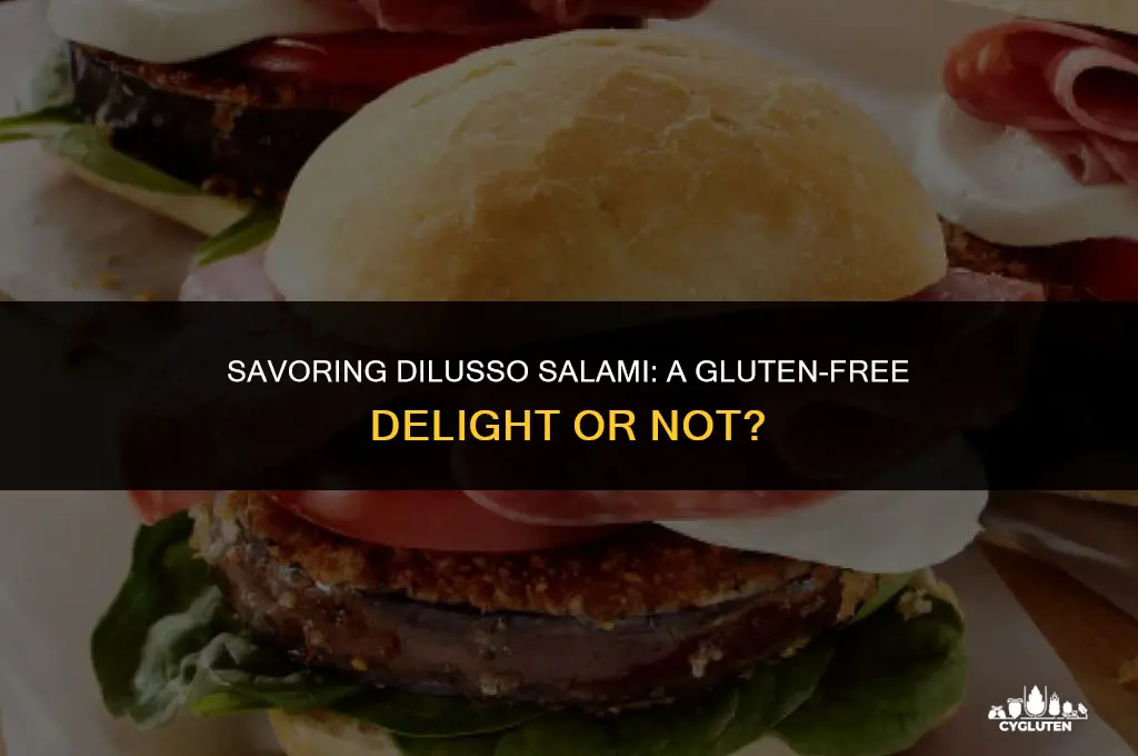 is dilusso salami gluten free