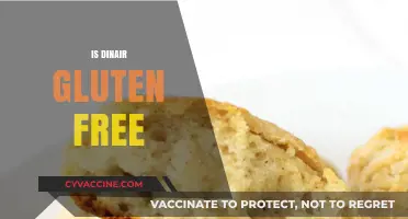 Is Dinair Gluten-Free? Exploring Ingredients and Safety for Celiac Users