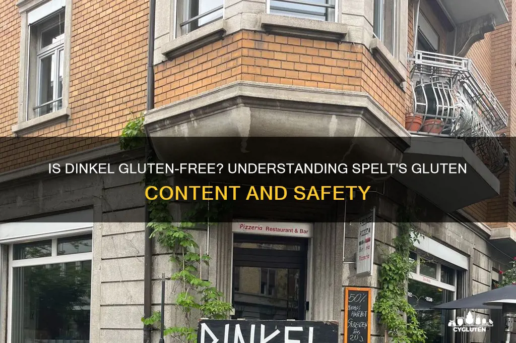 is dinkel gluten free