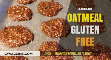 Dino-Mite Breakfast: Is Dinosaur Oatmeal Gluten-Free?