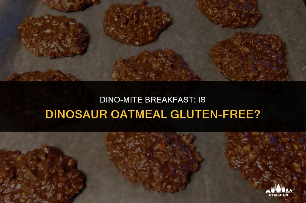 is dinosaur oatmeal gluten free
