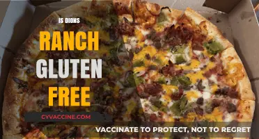 Exploring Gluten-Free Options at Dion's Ranch: A Comprehensive Guide