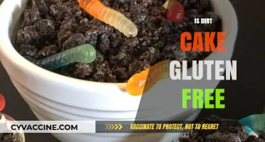 Exploring the Ingredients: Is Dirt Cake Gluten-Free?