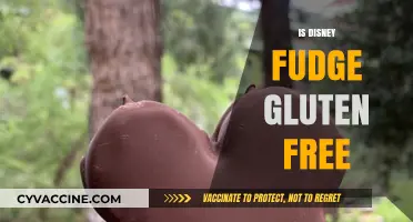 Delightful Disney Treats: Is Fudge Gluten-Free?