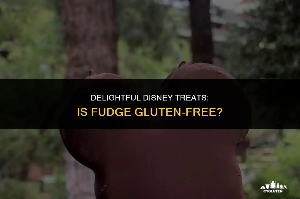 is disney fudge gluten free