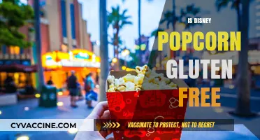 Exploring Snack Options: Is Disney Popcorn Gluten-Free?