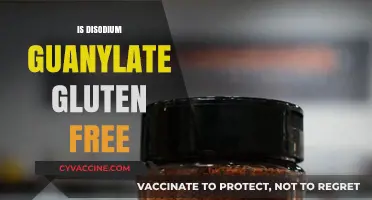 Is Disodium Guanylate Gluten Free? Uncovering the Facts for Celiacs