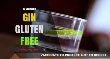 Is Distilled Gin Gluten-Free? Unraveling the Truth for Celiac Sufferers
