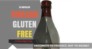 Is Distilled Vinegar Gluten-Free? A Clear Answer for Celiacs