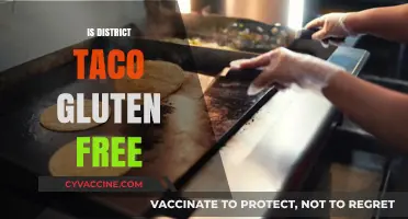 Is District Taco Gluten-Free? A Complete Guide to Safe Dining