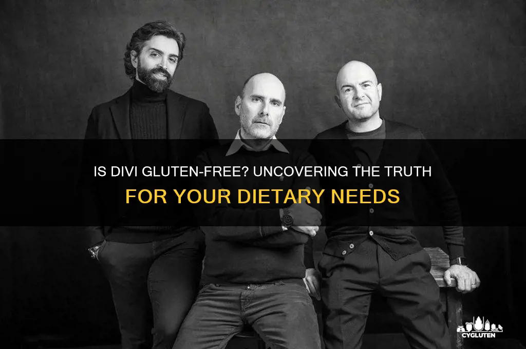 is divi gluten free