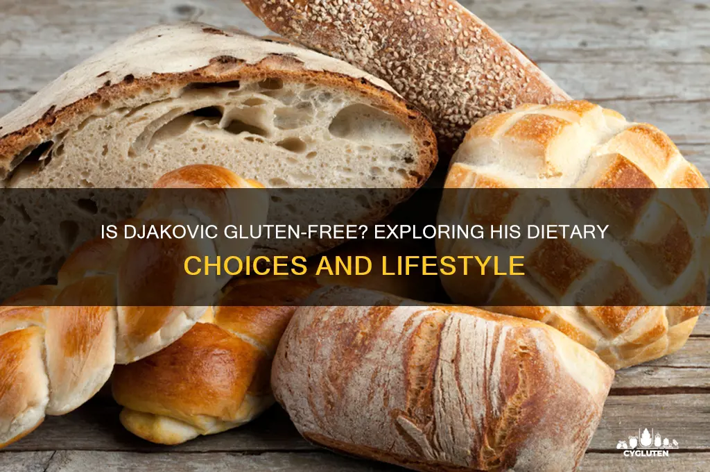 is djakovic on gluten free
