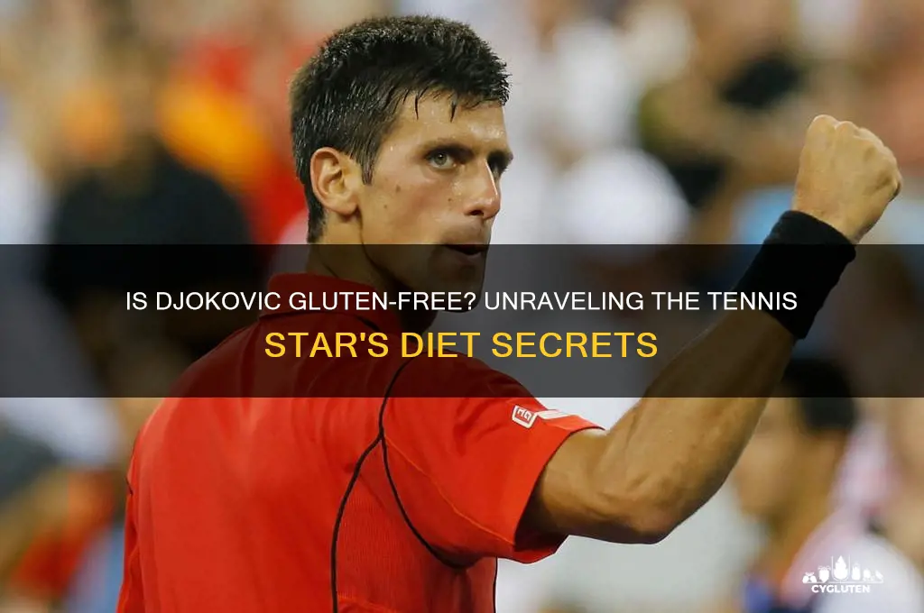is djokovic gluten free