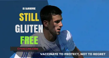 Is Djokovic Still Gluten-Free? Unraveling His Diet Secrets Today