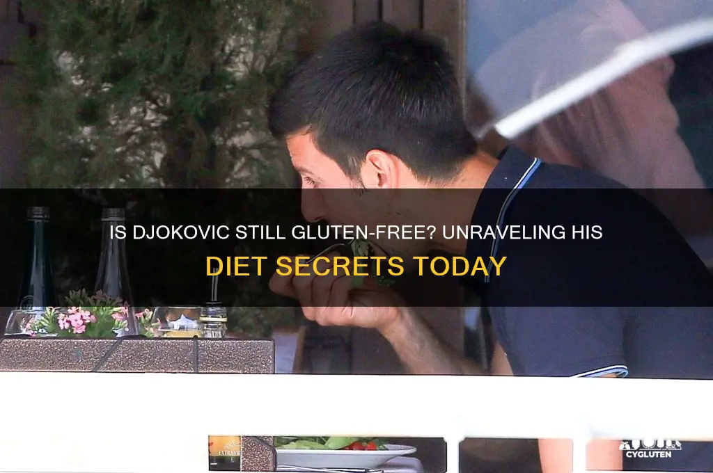 is djokovic still gluten free