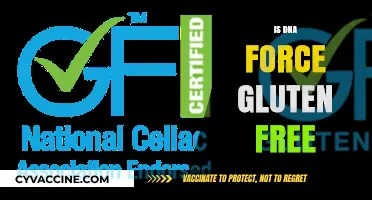 Is DNA Force Gluten-Free? Uncovering the Facts for Health-Conscious Consumers