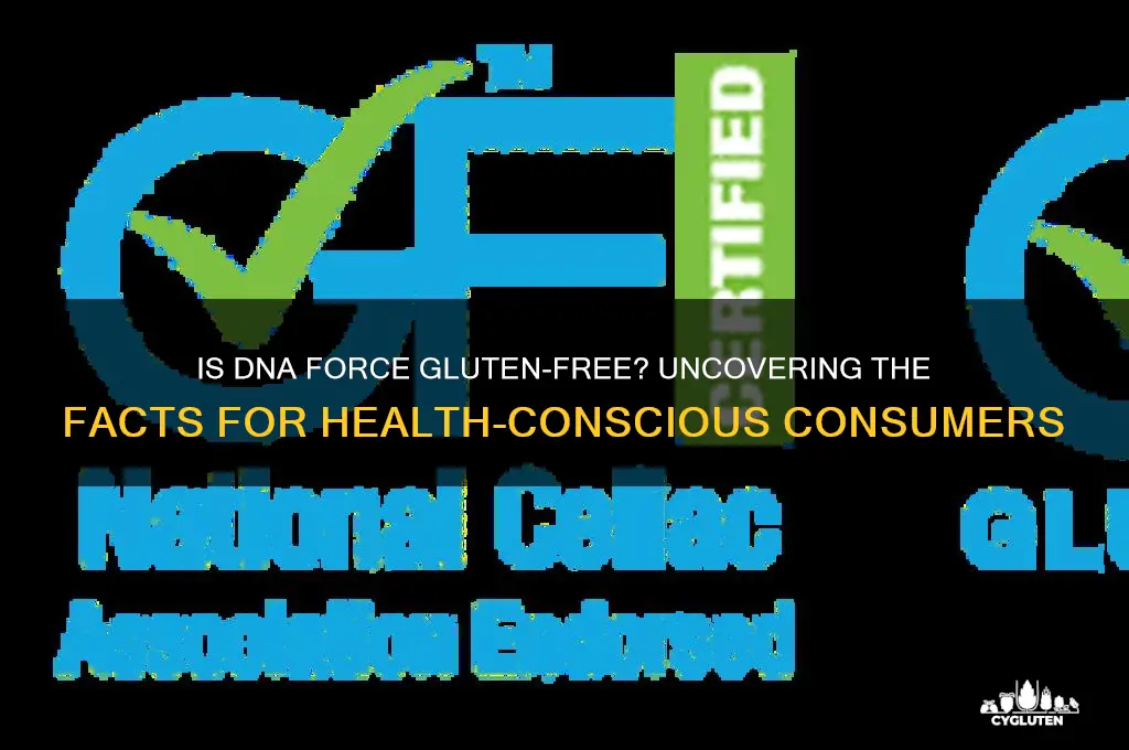 is dna force gluten free
