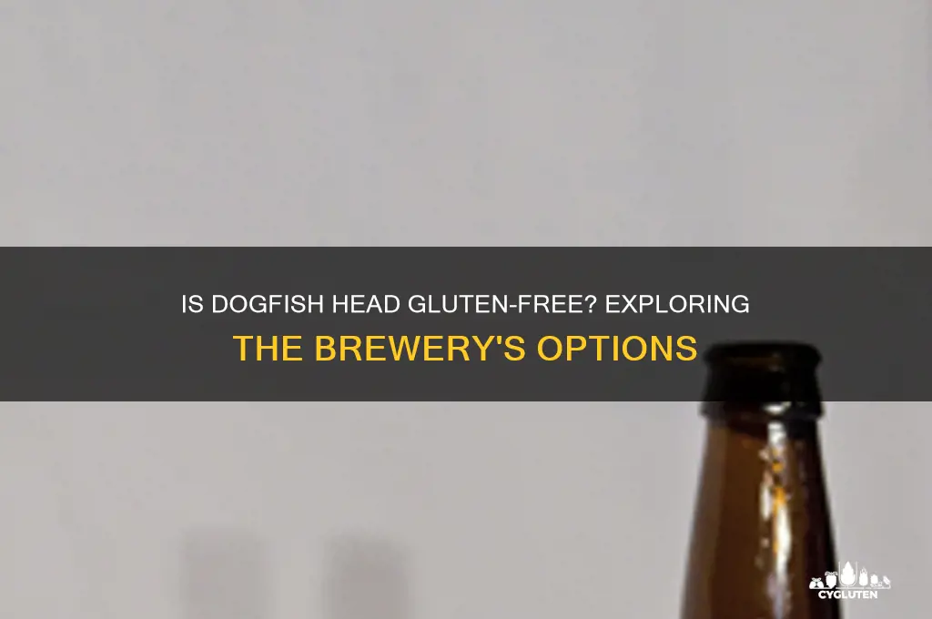 is dogfish head gluten free