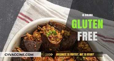 Is Dolma Gluten-Free? A Complete Guide to This Dish's Ingredients