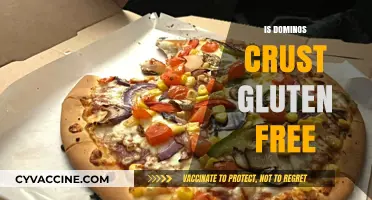 Is Domino's Crust Gluten-Free? A Detailed Look at Their Options