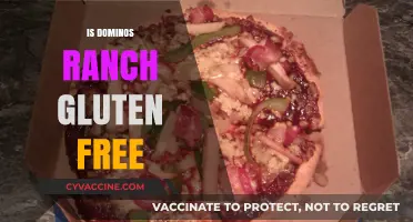 Is Domino's Ranch Gluten-Free? A Clear Answer for Celiacs