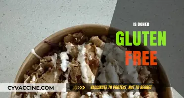 Is Doner Gluten-Free? Uncovering the Truth for Celiac Diners
