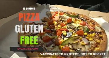 Is Domino's Pizza Gluten-Free? A Complete Guide for Celiac Diners