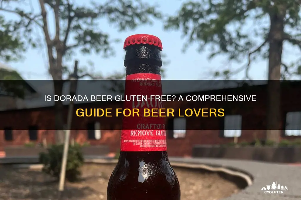 is dorada beer gluten free