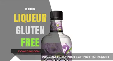 Is Dorda Liqueur Gluten-Free? A Complete Guide for Drinkers