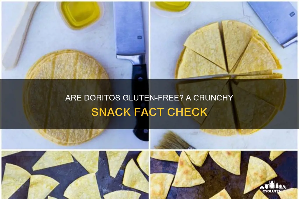Are Doritos Gluten-Free? A Crunchy Snack Fact Check | CyGluten