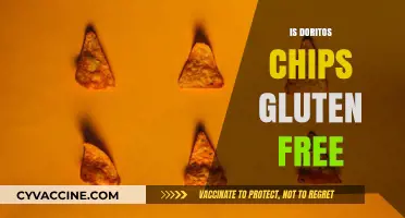 Are Doritos Chips Gluten-Free? A Crunchy Snack Fact Check