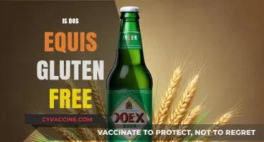 Is Dos Equis Gluten-Free? A Beer Lover's Guide to Celiac Safety