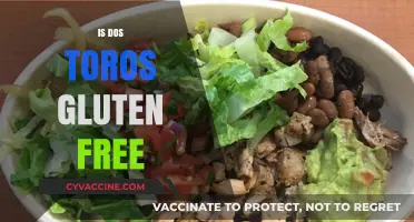 Is Dos Toros Gluten-Free? A Complete Guide to Their Menu