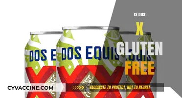 Is Dos Equis Gluten-Free? Exploring the Beer's Ingredients and Options