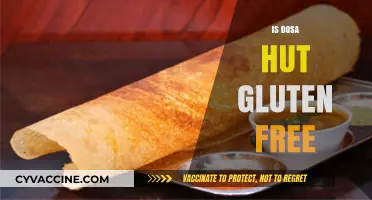 Is Dosa Hut Gluten-Free? Exploring Menu Options for Celiac Diners