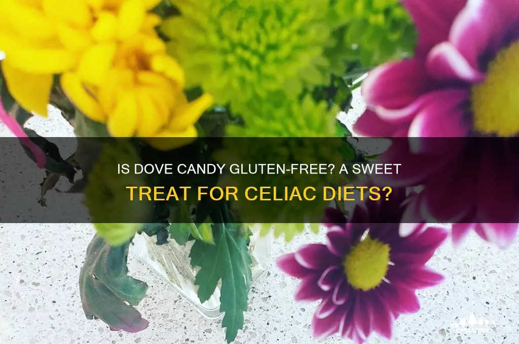 is dove candy gluten free