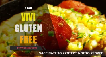 Is Dove Vivi Gluten-Free? A Comprehensive Guide to Their Menu