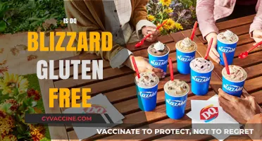 Is DQ Blizzard Gluten-Free? A Complete Guide for Celiac Eaters