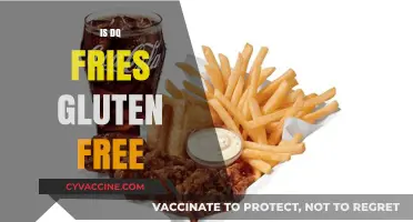 Are DQ Fries Gluten-Free? A Complete Guide for Celiac Diners