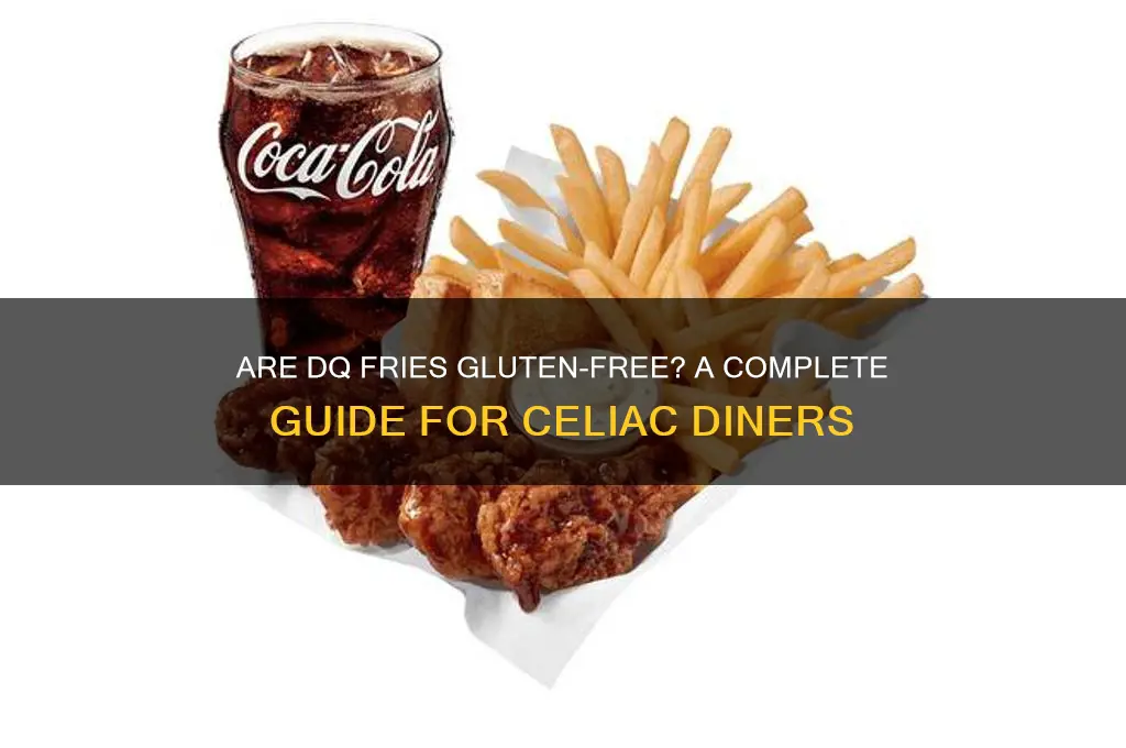 is dq fries gluten free