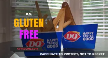 Is DQ Gluten-Free? Exploring Dairy Queen's Menu Options