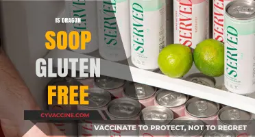 Is Dragon Soop Gluten-Free? A Complete Guide for Drinkers