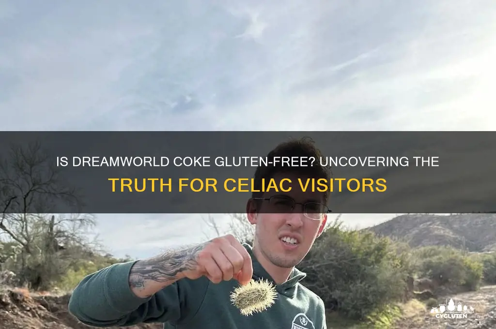 is dreamworld coke gluten free
