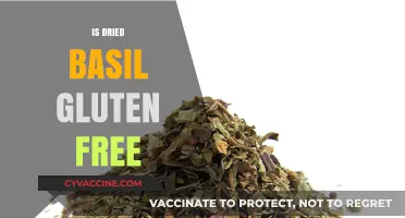 Is Dried Basil Gluten Free? A Comprehensive Guide for Celiacs