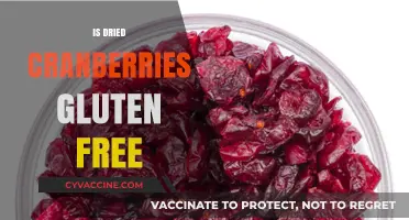 Are Dried Cranberries Gluten-Free? A Complete Guide for Celiacs
