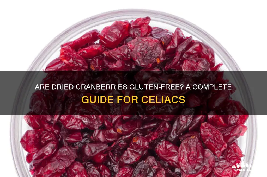 is dried cranberries gluten free