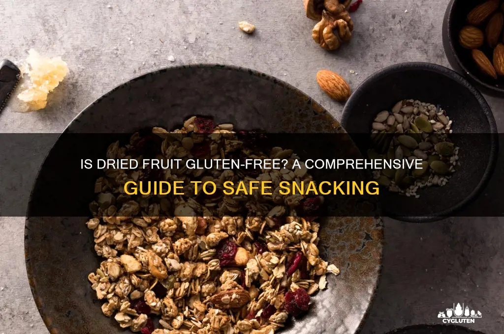 is dried fruit gluten free